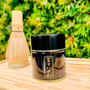 Matcha Edición Especial